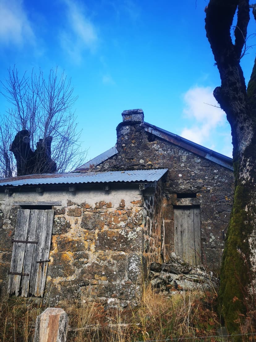 Saint-Cirgues-de-Jordanne photo 4