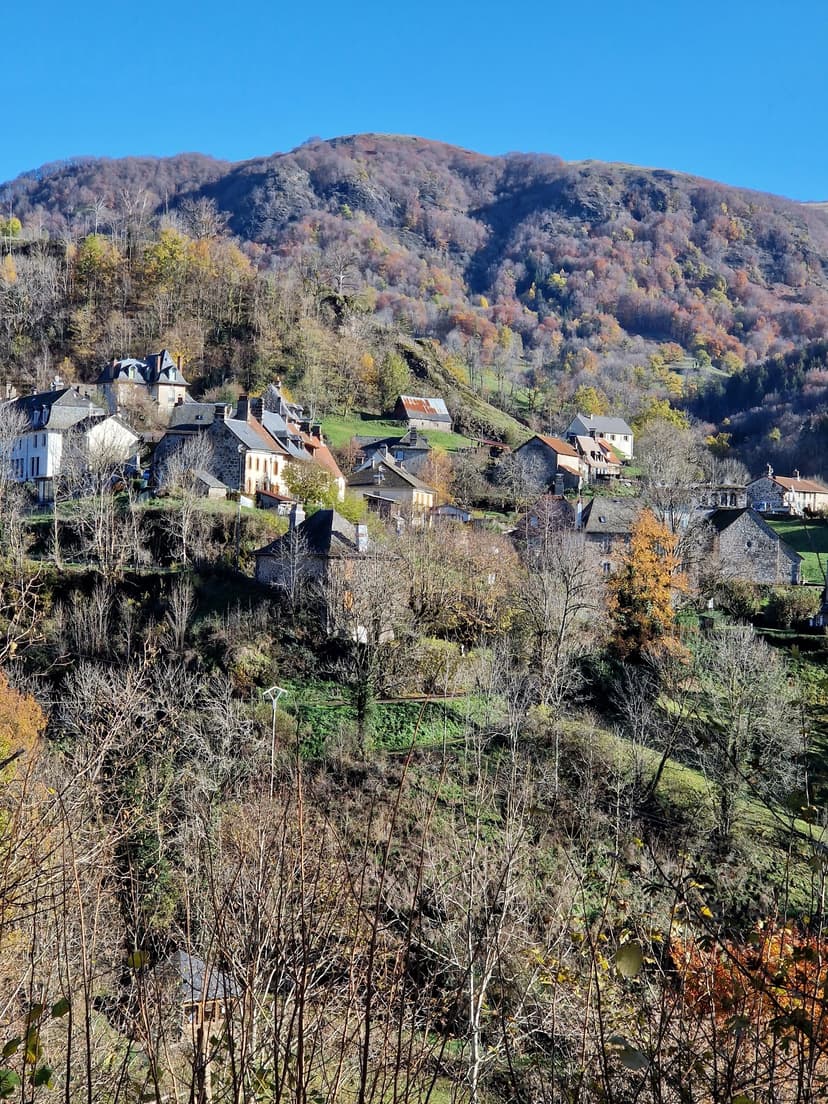 Saint-Cirgues-de-Jordanne photo 6