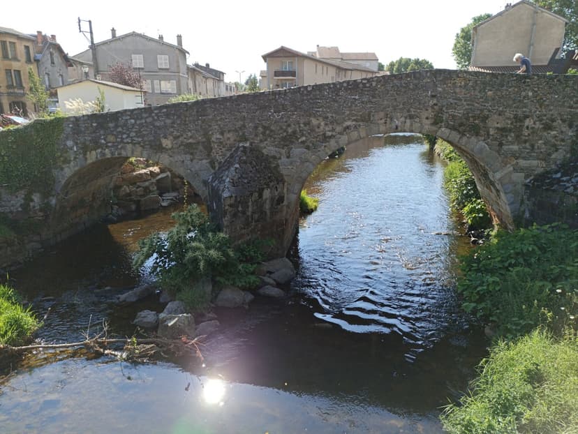Saint-Gervais-sous-Meymont photo 6