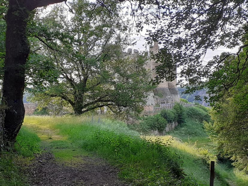 Saint-Rémy-de-Blot photo 4