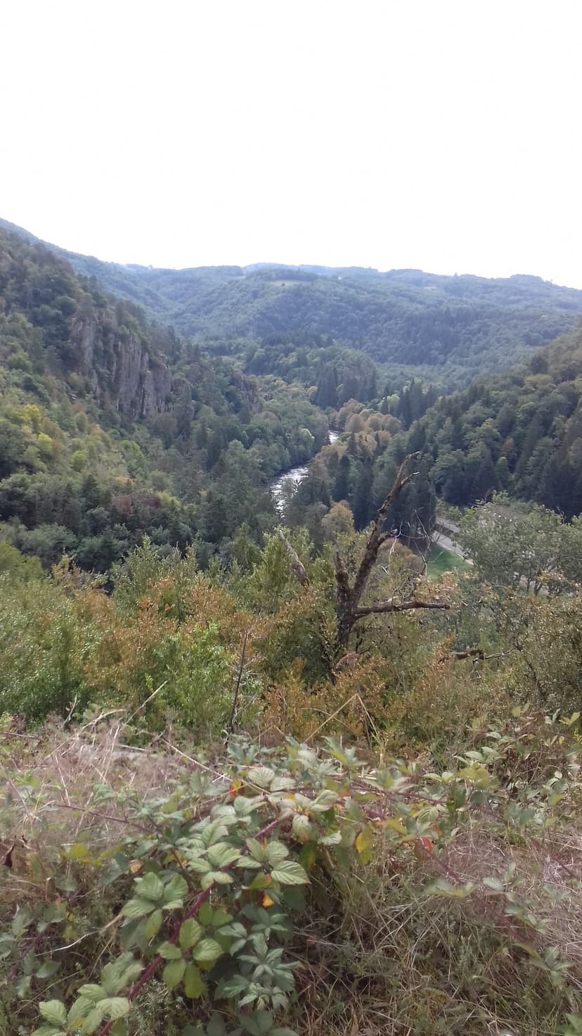Saint-Rémy-de-Blot photo 6