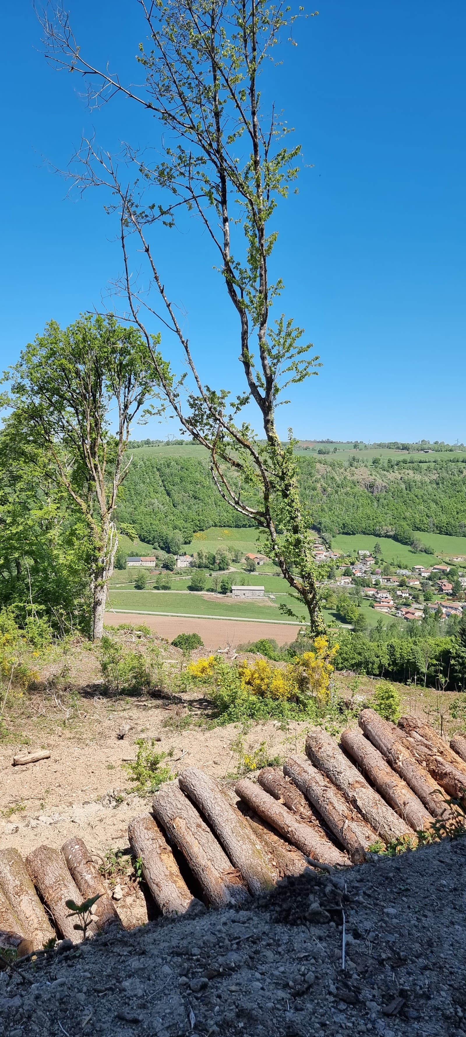 Saint-Simon, Cantal