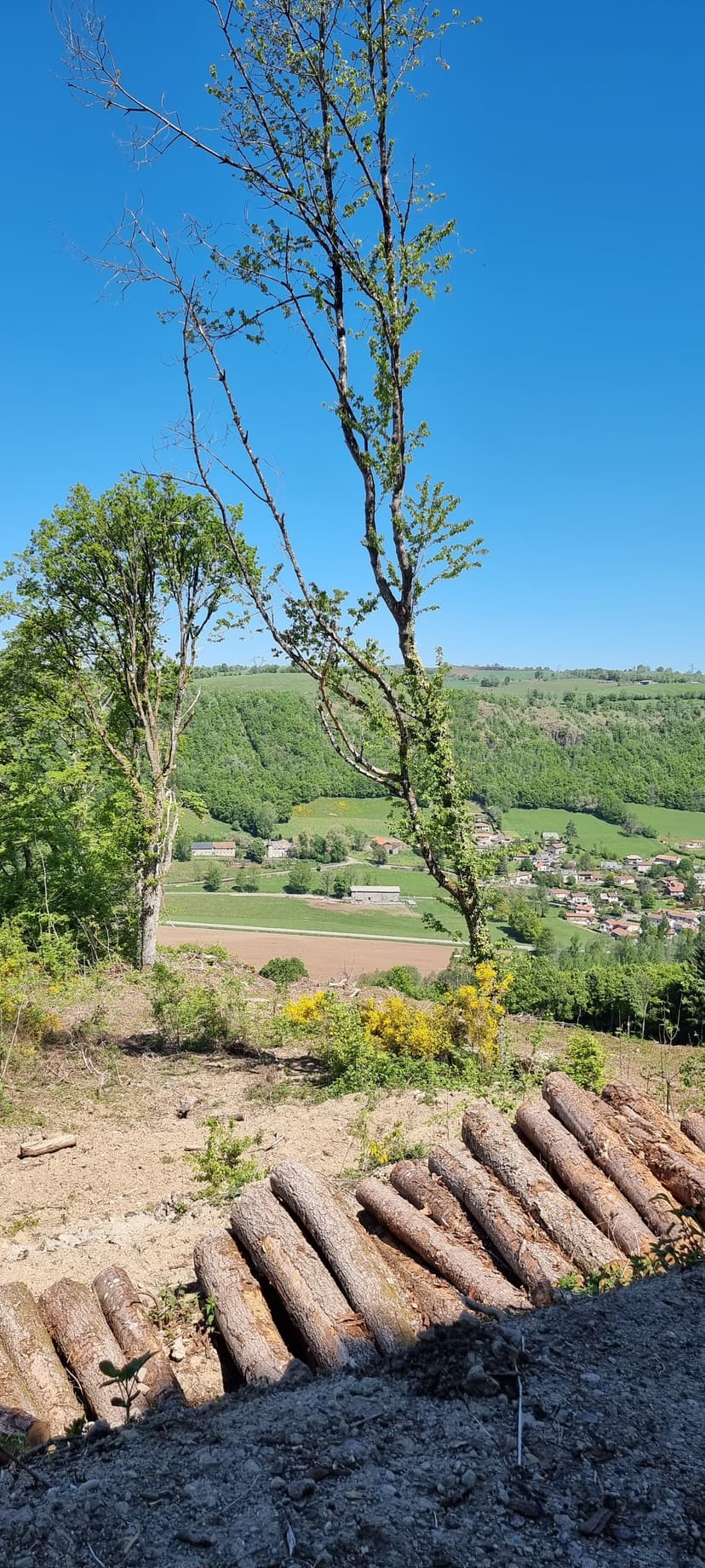 Saint-Simon photo 1