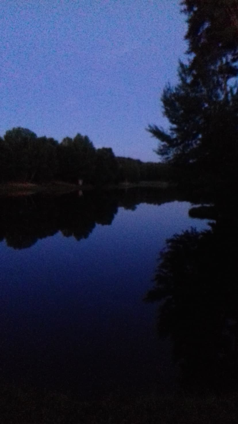 Savennes photo 3