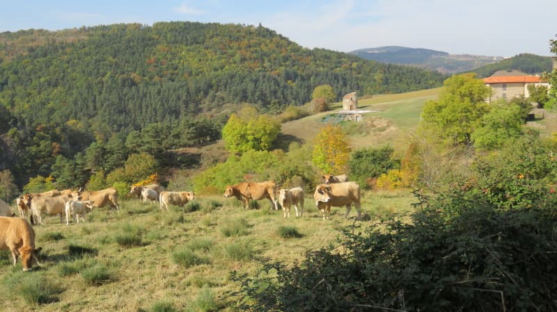 Solignac-sur-Loire photo 4
