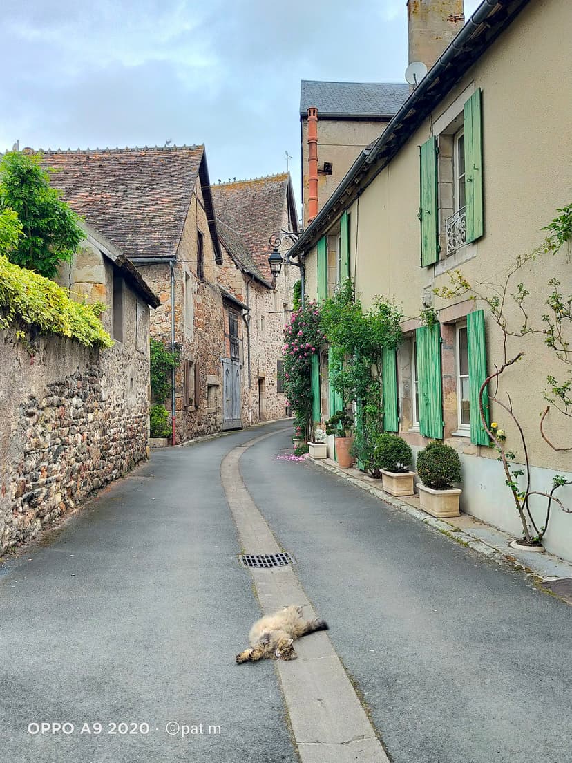 Souvigny photo 5