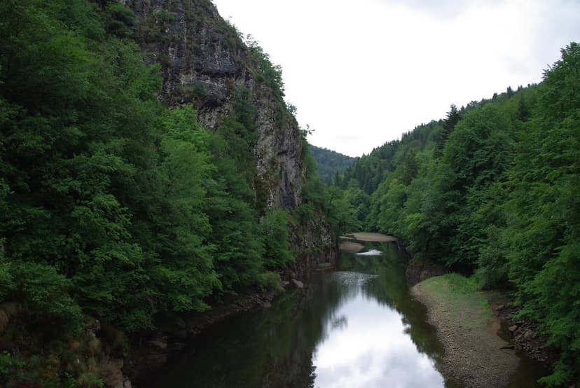 Trémouille photo 4