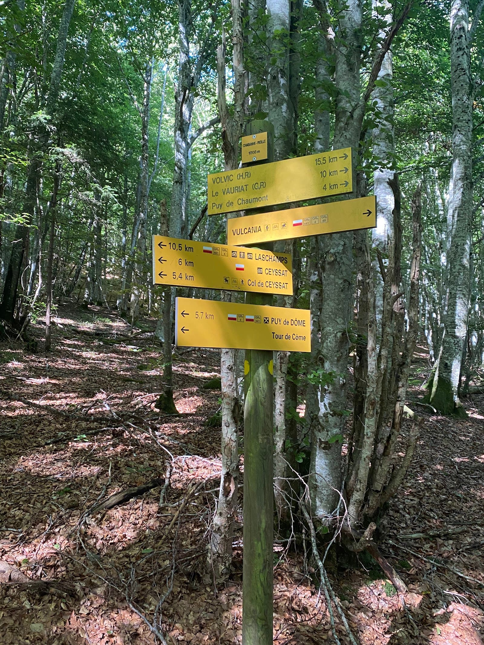 Puy de Côme (5/6)