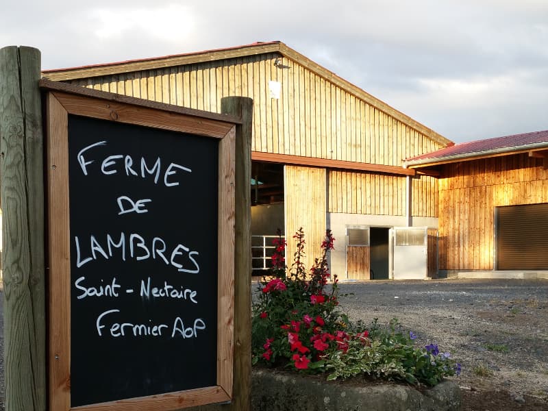 La Ferme des Prades - Dégustation de Saint-Nectaire (4)