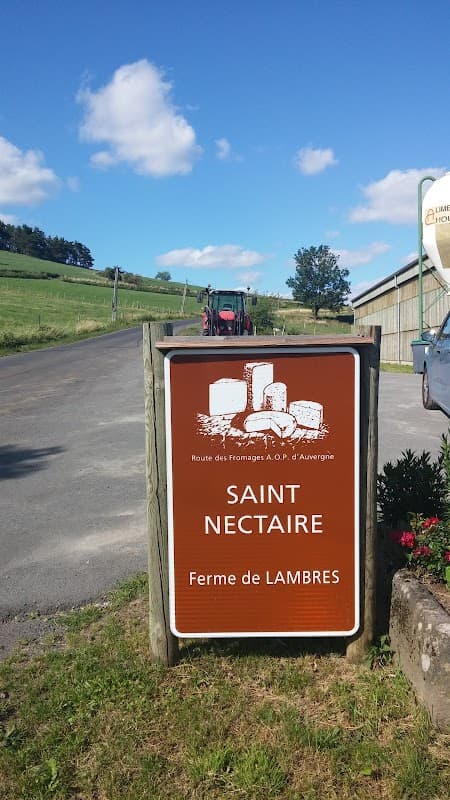La Ferme des Prades - Dégustation de Saint-Nectaire (5)