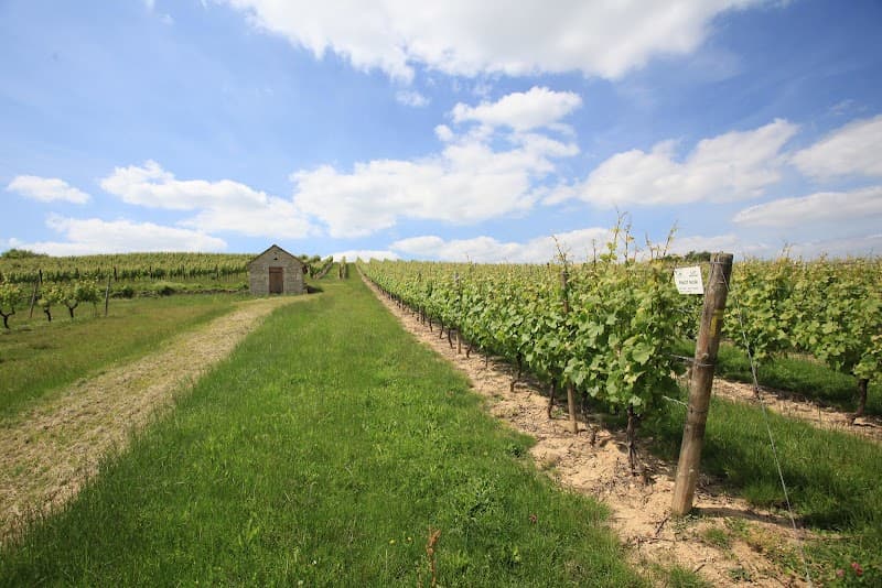 Domaine de la Croix de Bois (5)