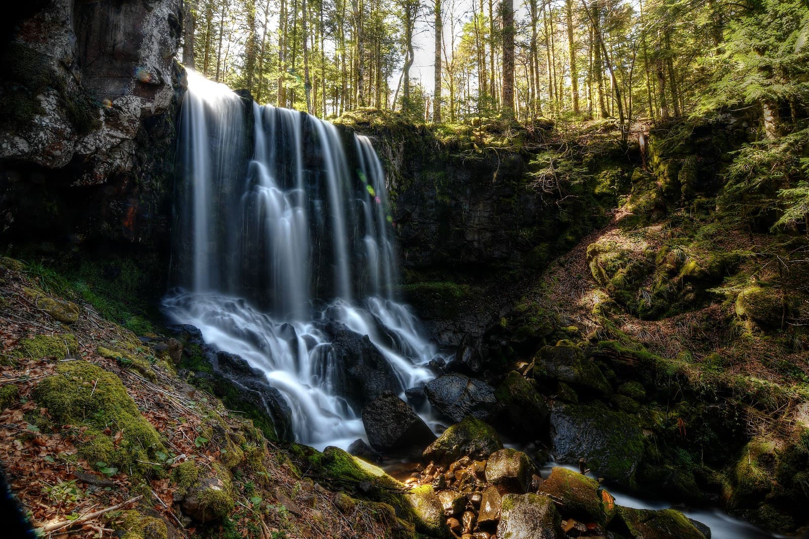 Le Falgoux, Cantal