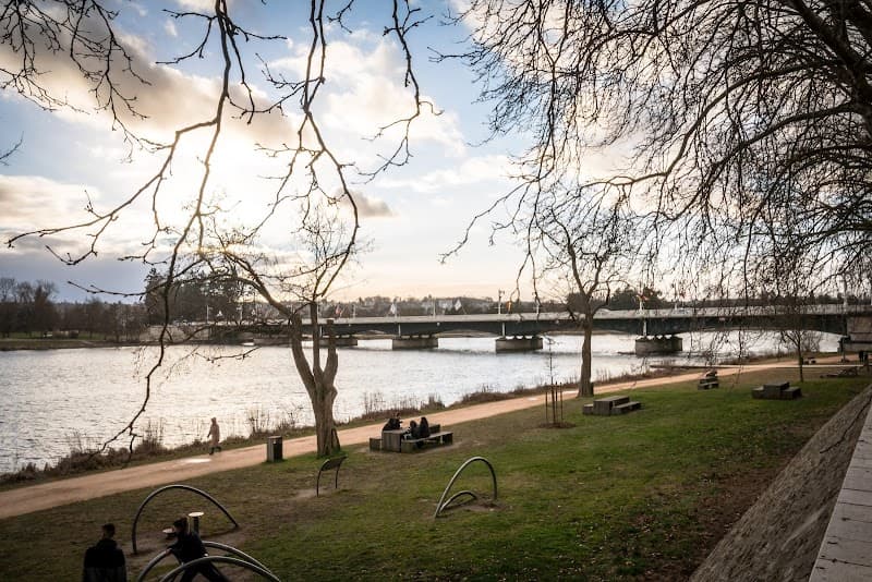 Parc Kennedy et bords de l'Allier (3)