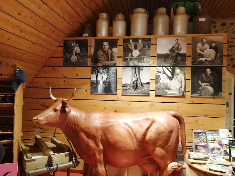 La Fromagerie de Salers (GAEC de la Ferme des Viaules) (3)