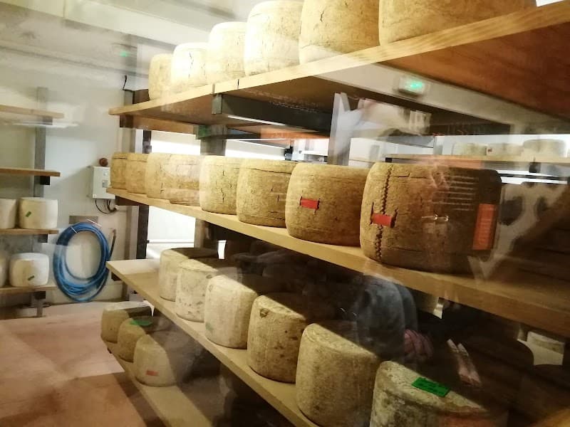 La Fromagerie de Salers (GAEC de la Ferme des Viaules) (5)