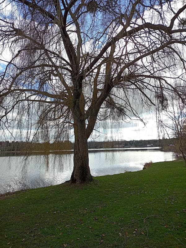 Étang de Sault (Hérisson) (2)