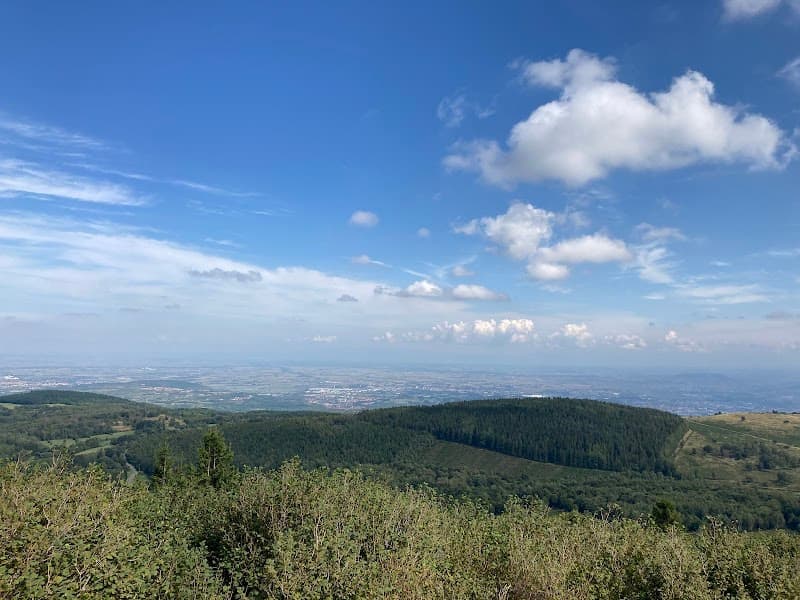 Puy des Goules (2)