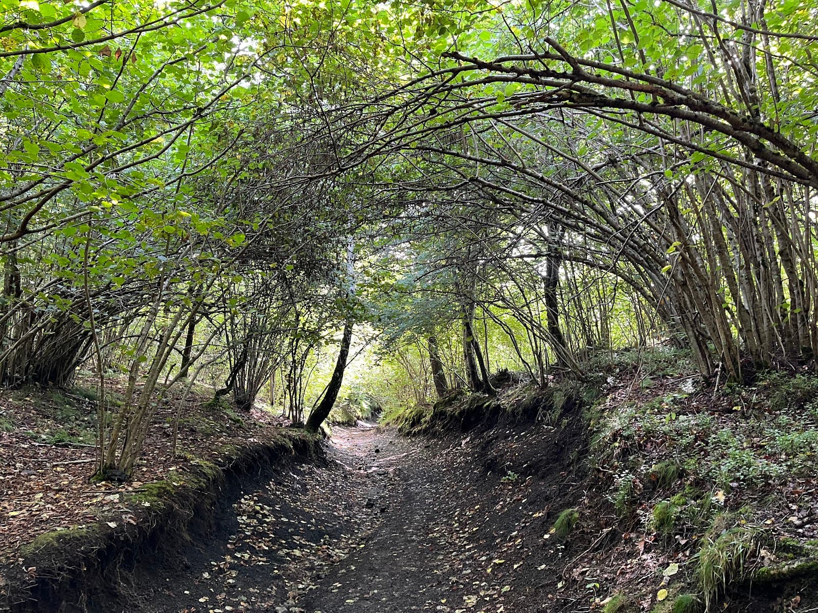 Puy Pariou (5/6)