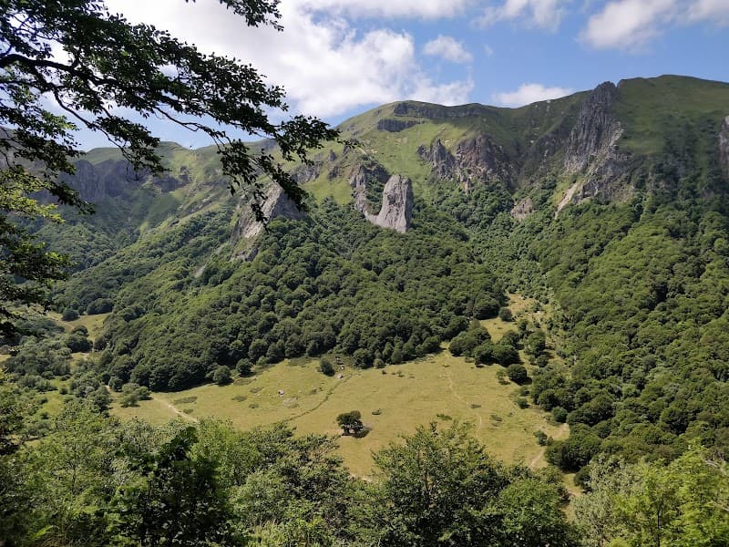 Auvergne en automne : 7 forêts où voir l'or des hêtres