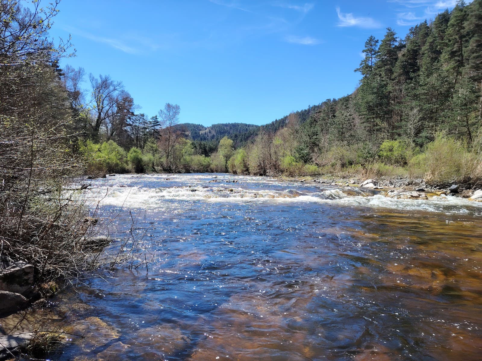 Source de Bonnefont