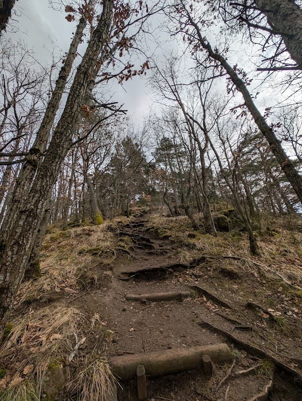 Chemin de la Ronde des Couzes (5)