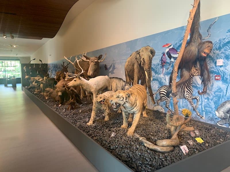 Musée Crozatier (2)