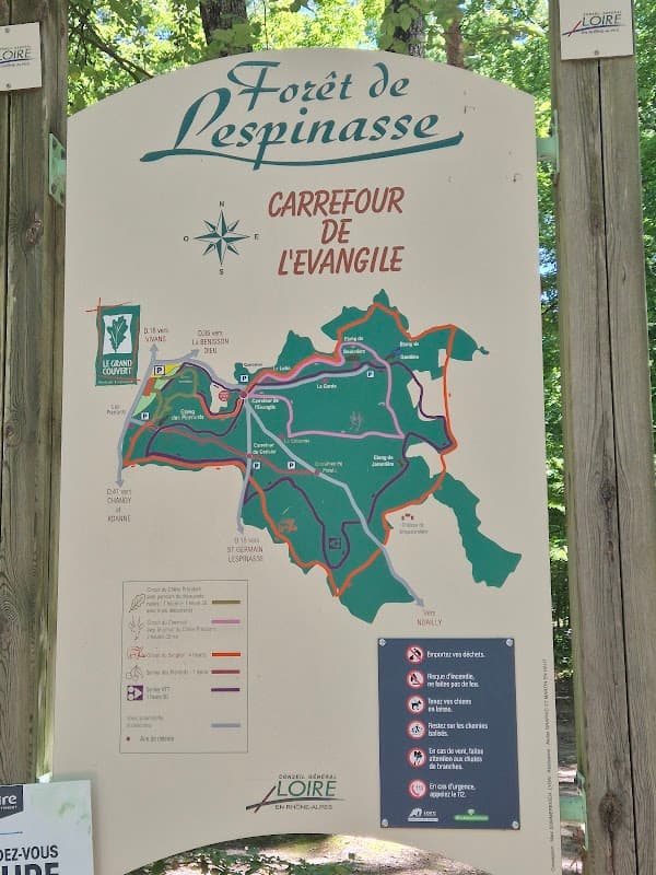 Boucle de la Forêt de Lespinasse (3)