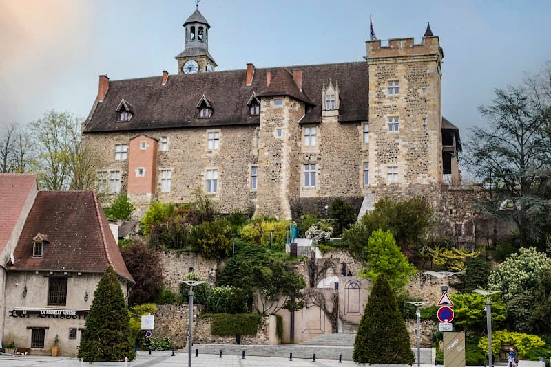 Château des Ducs de Bourbon (2)