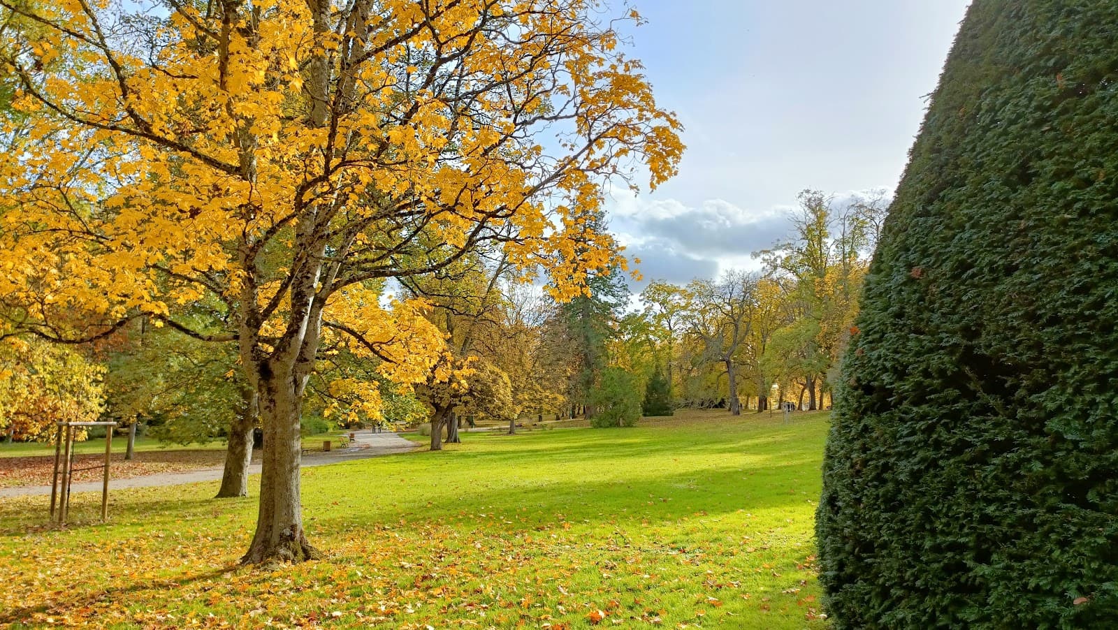 Parc Napoleon III (1/6)
