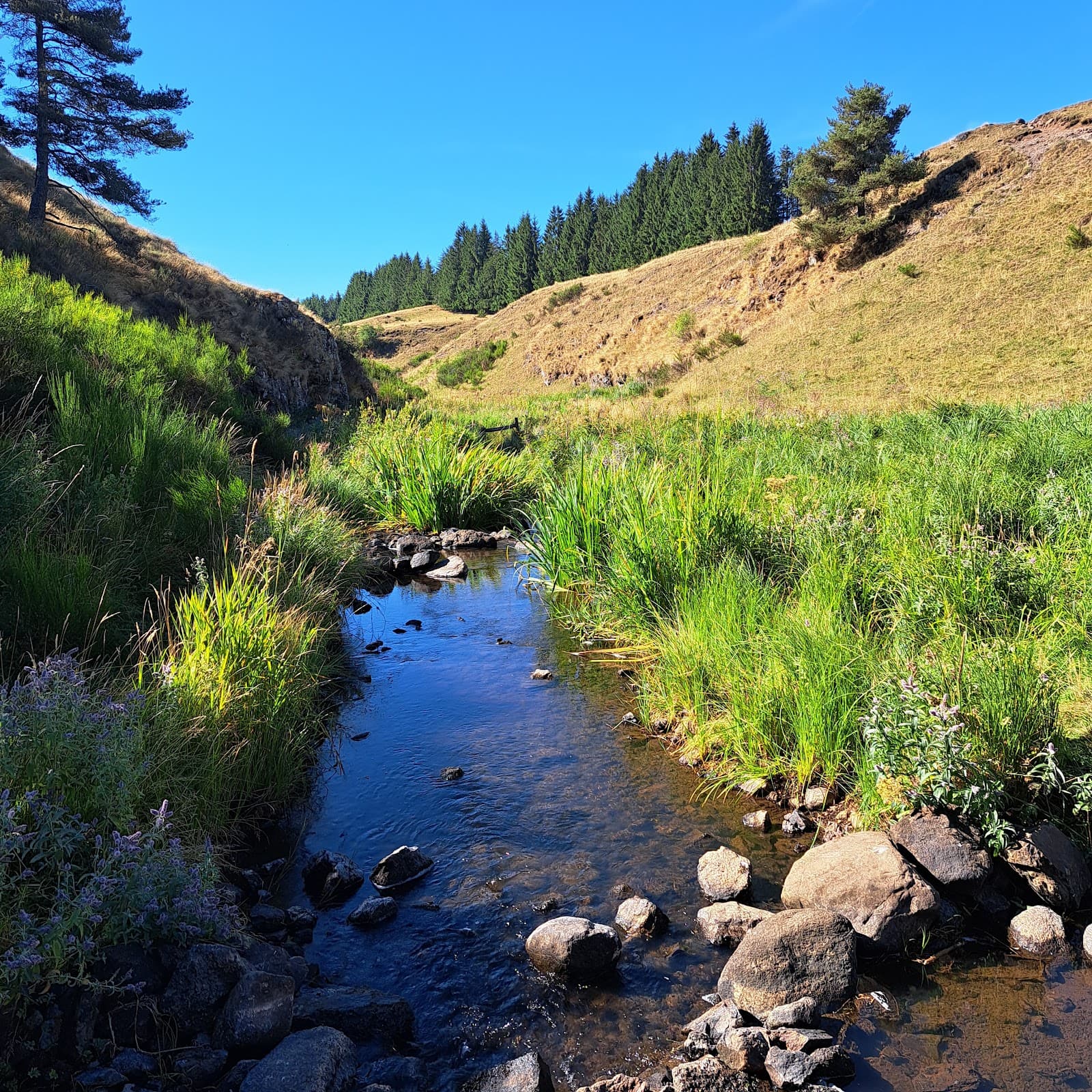 Cascade des Veyrines (3/6)