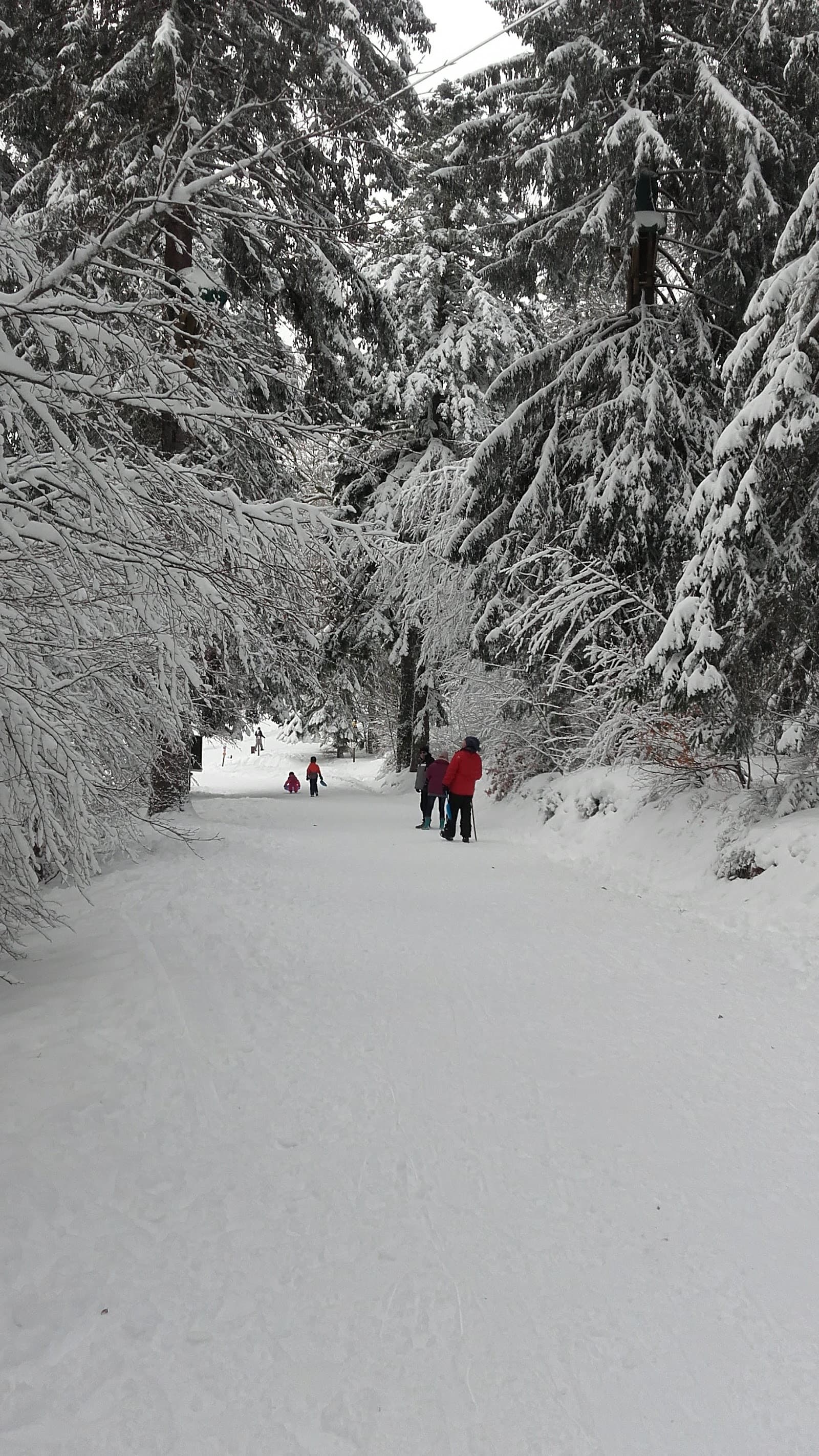 Mont Dore Aventures (4/6)