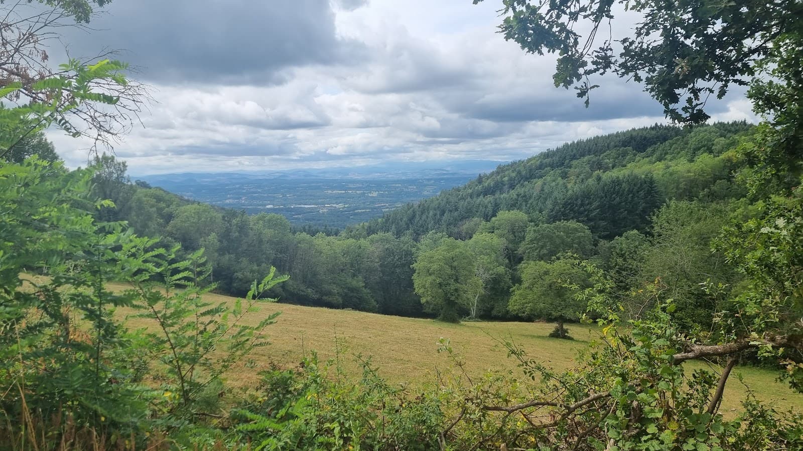 Parc naturel régional du Livradois-Forez (1/6)