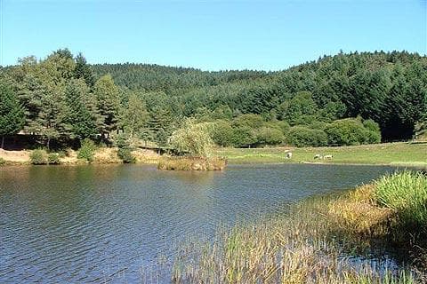 Parc naturel régional du Livradois-Forez (2/6)