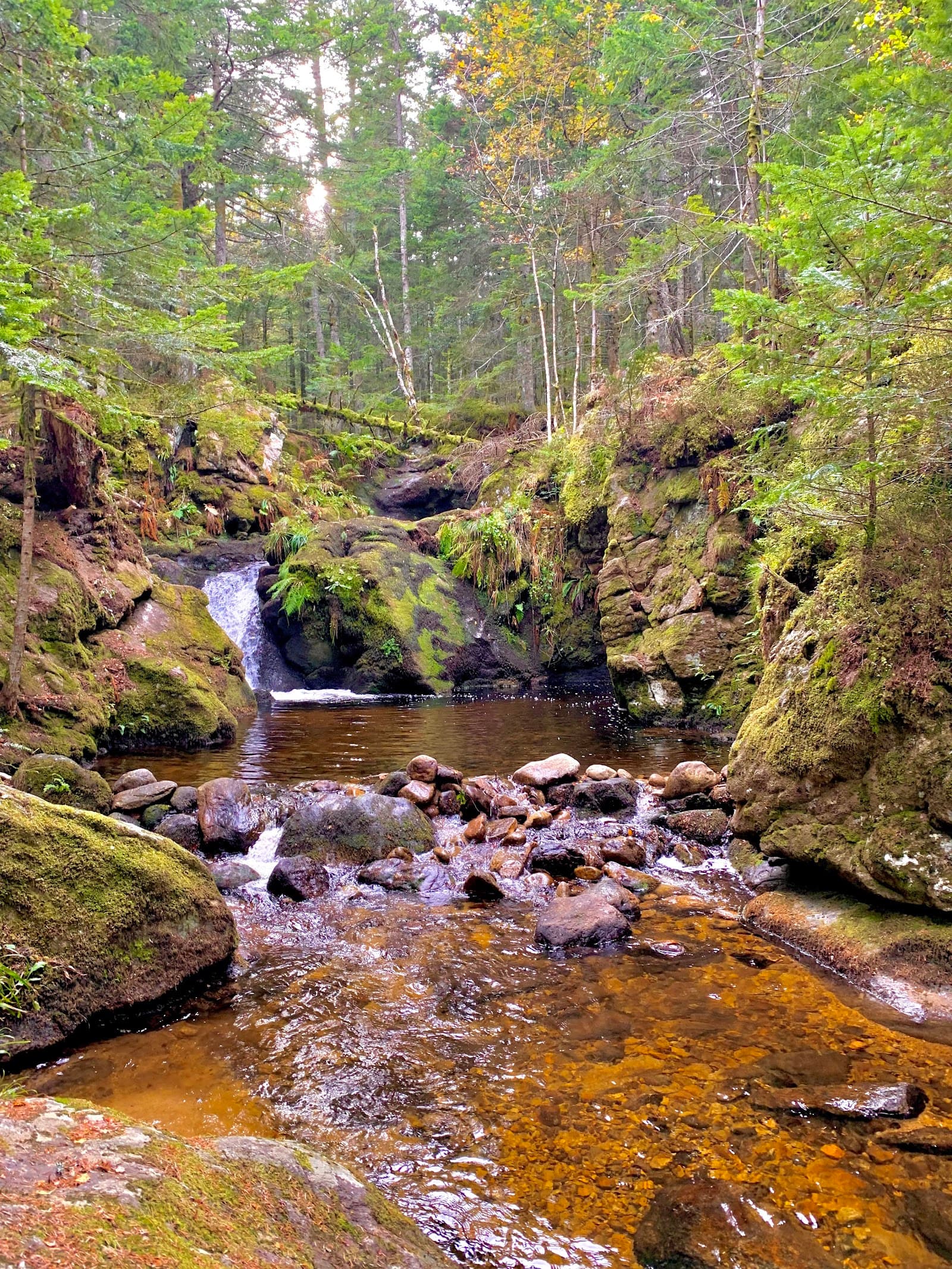 Parc naturel régional du Livradois-Forez (4/6)