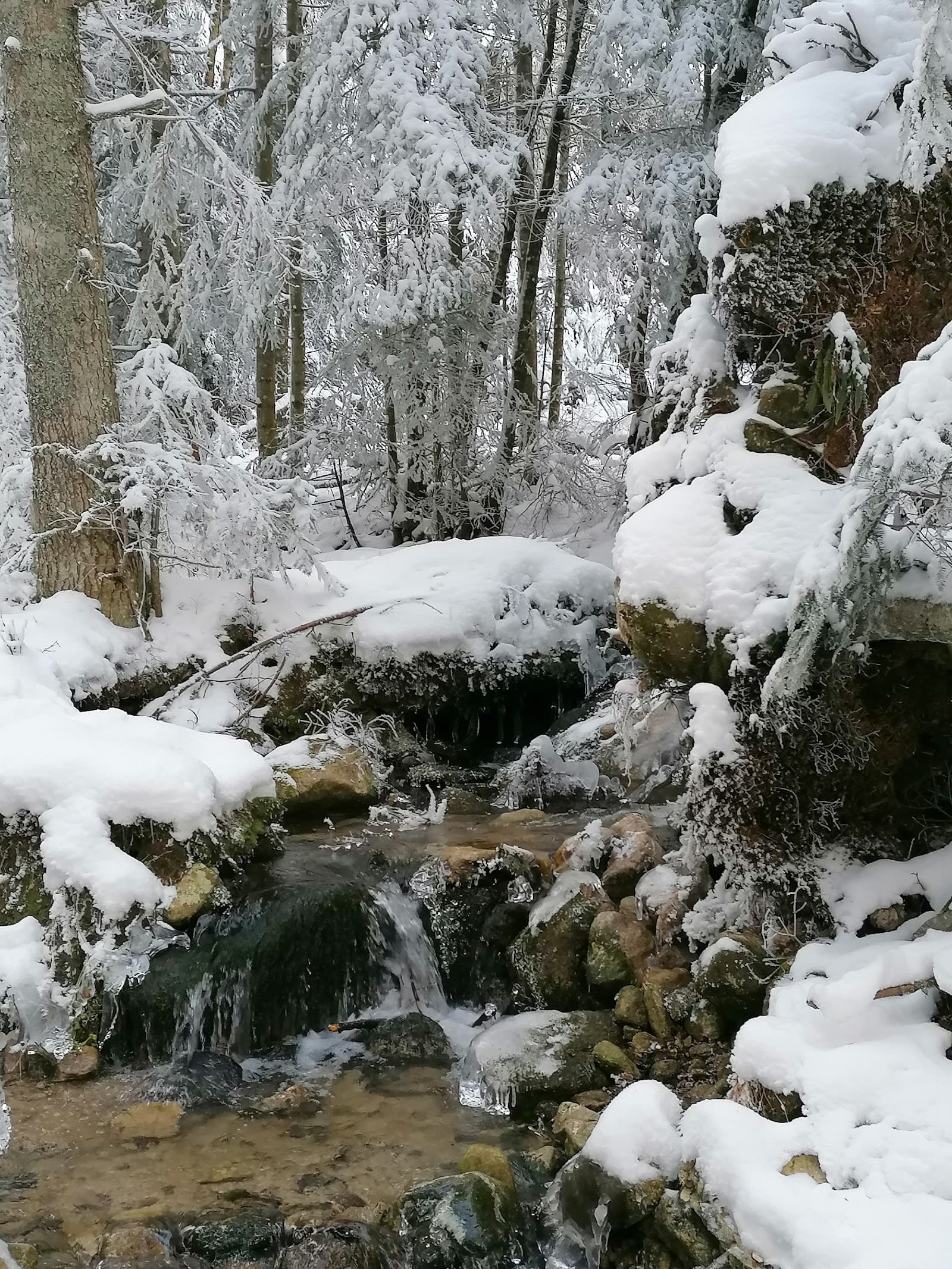 Parc naturel régional du Livradois-Forez (5/6)