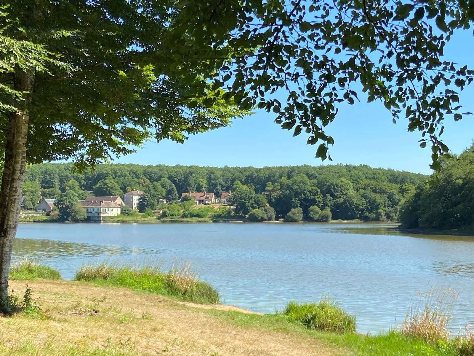 Forêt de Tronçais (4/6)