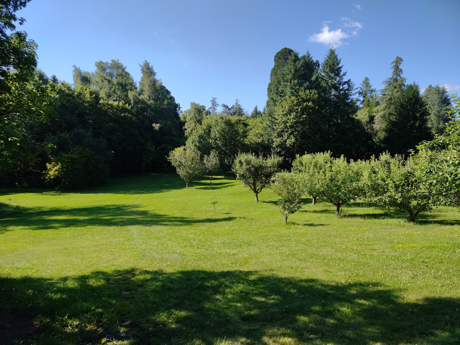 La Plantelière