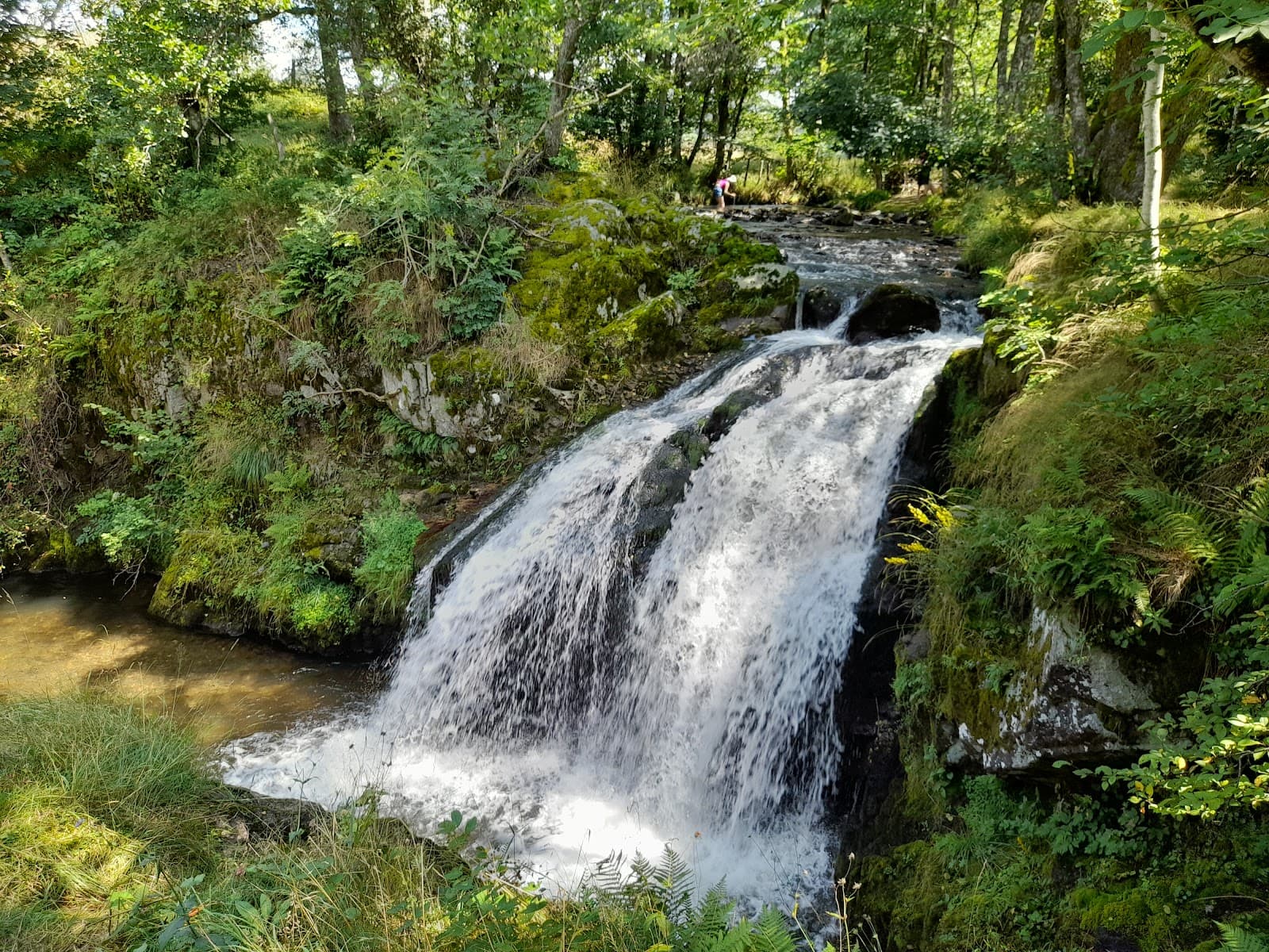 Cascade du Saut du Cheval (1/6)