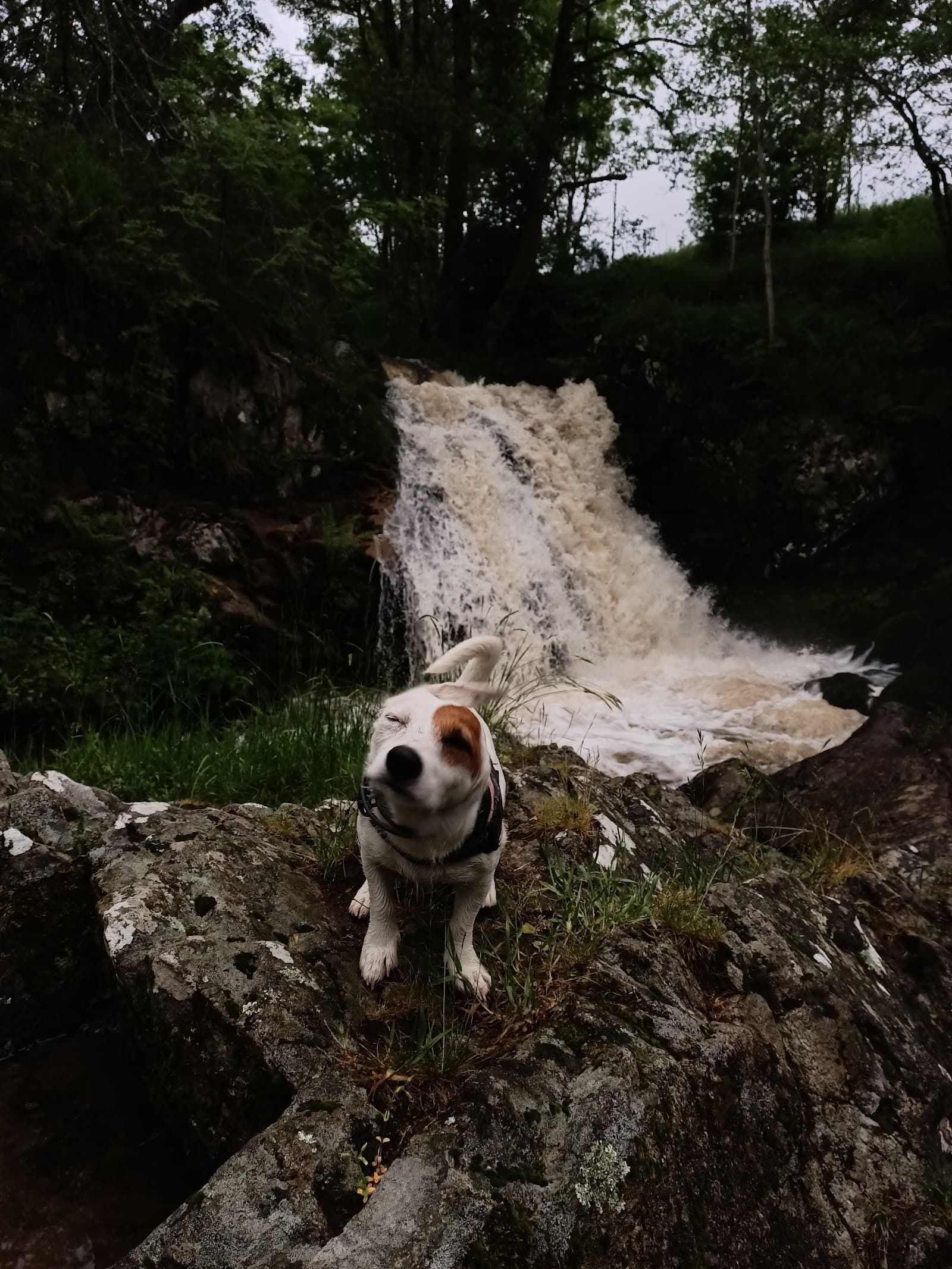 Cascade du Saut du Cheval (5/6)