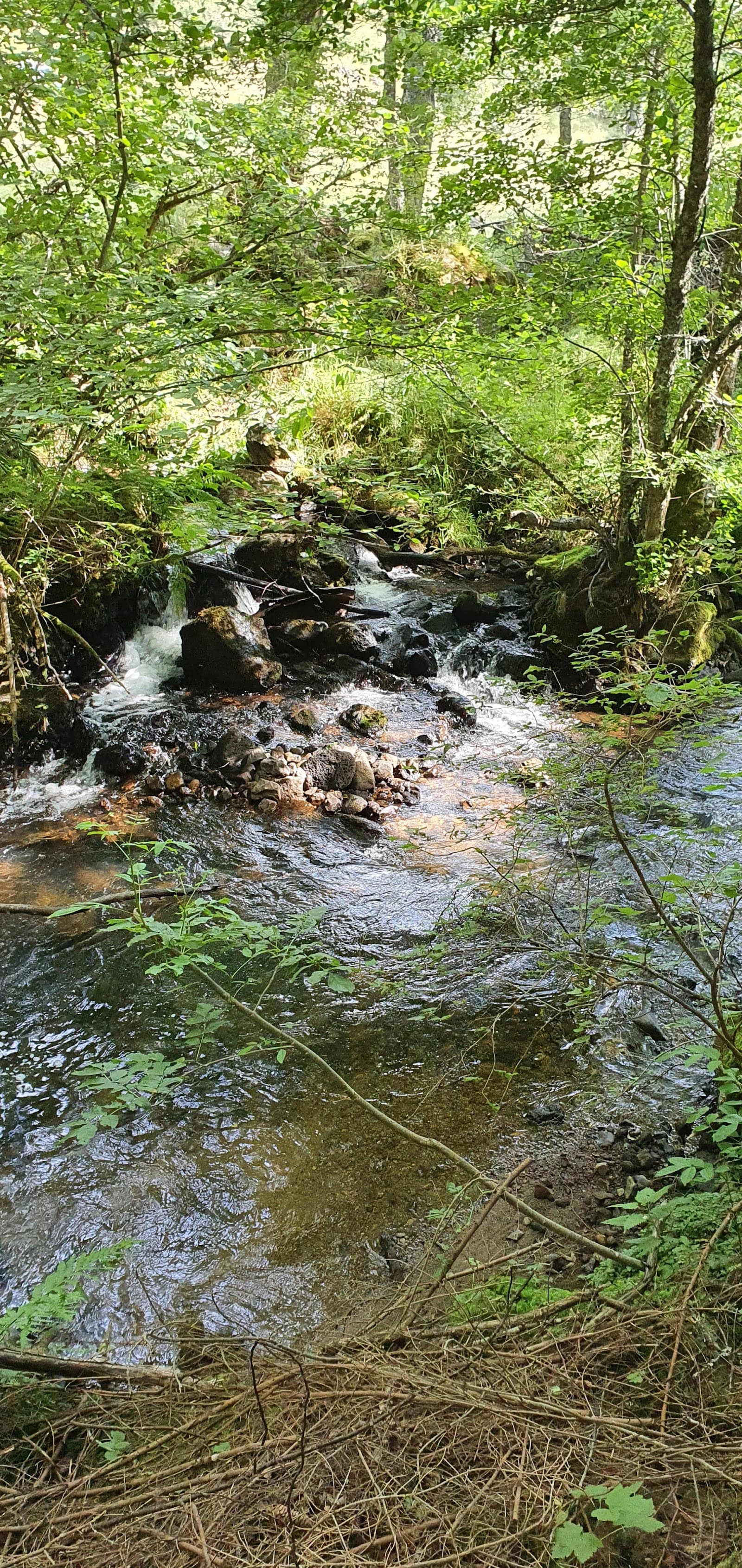 La Couze Pavin