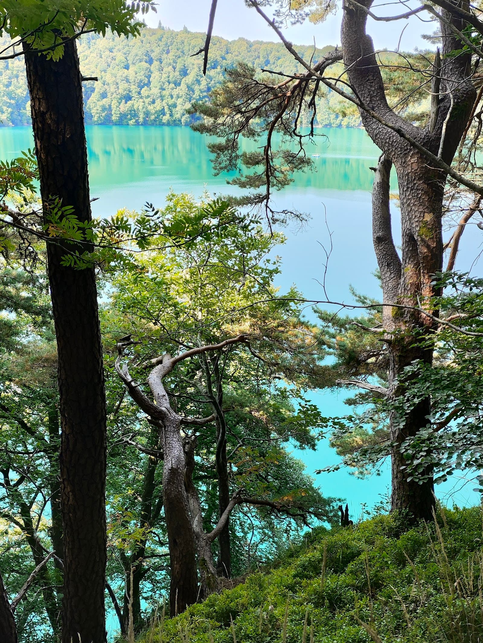 Point de vue sur le lac Pavin (4/6)