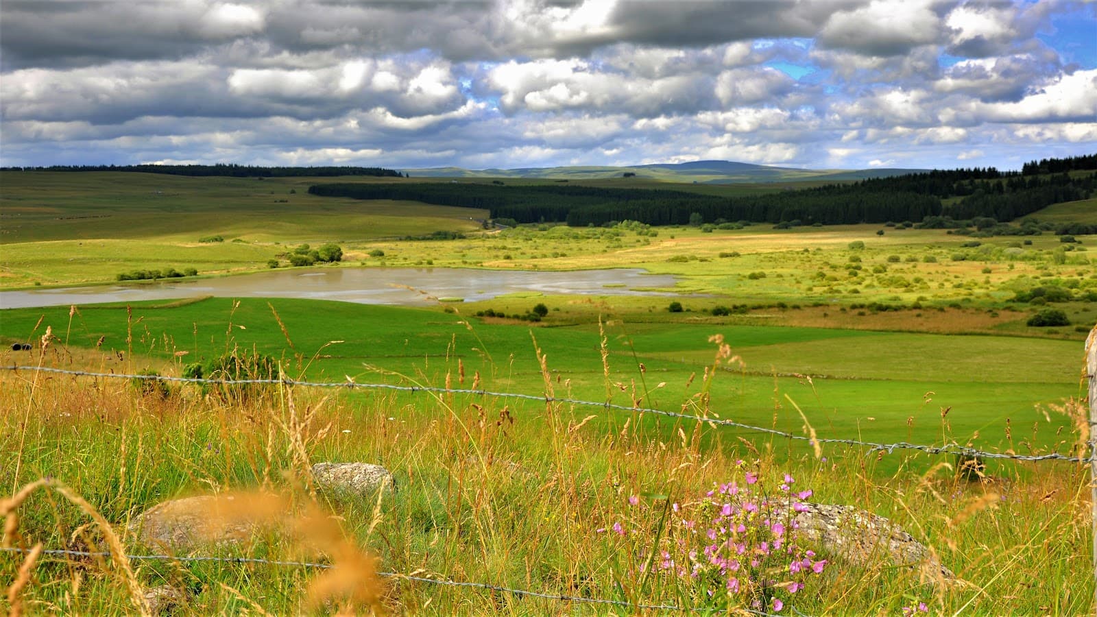 Réserve naturelle régionale des tourbières du Jolan et de la Gazelle