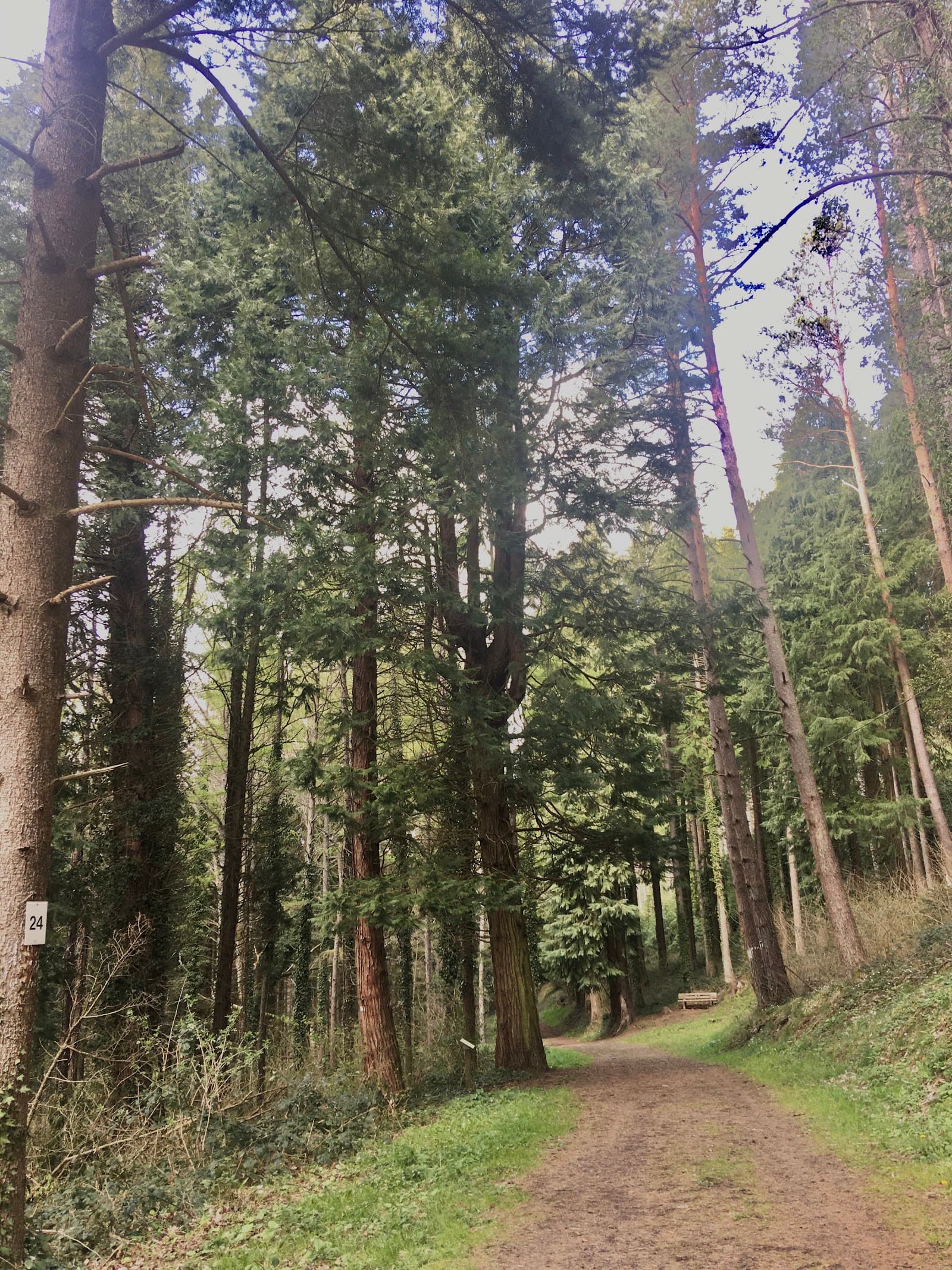 Arboretum de Royat