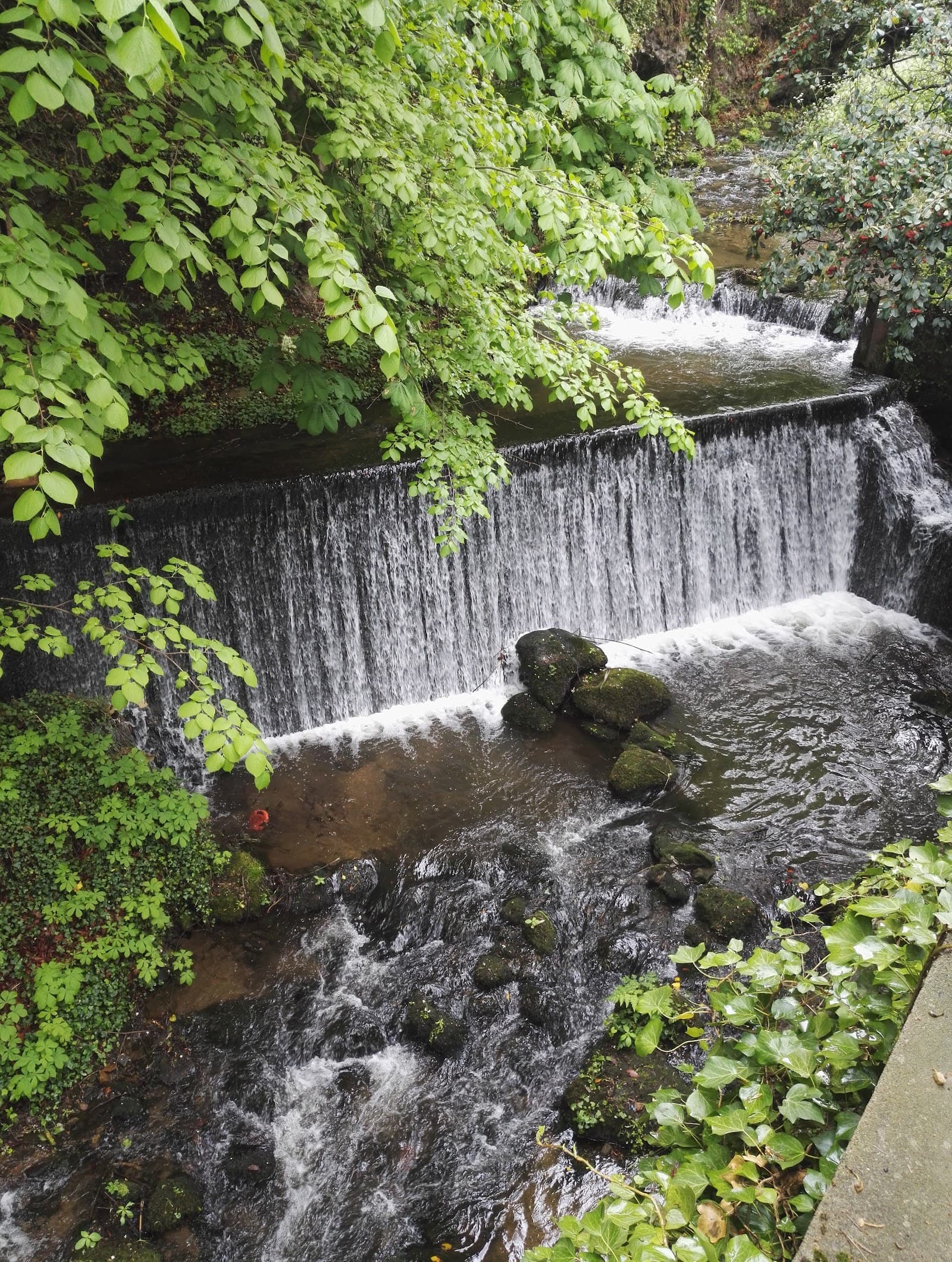 Parc de Royat (3/6)