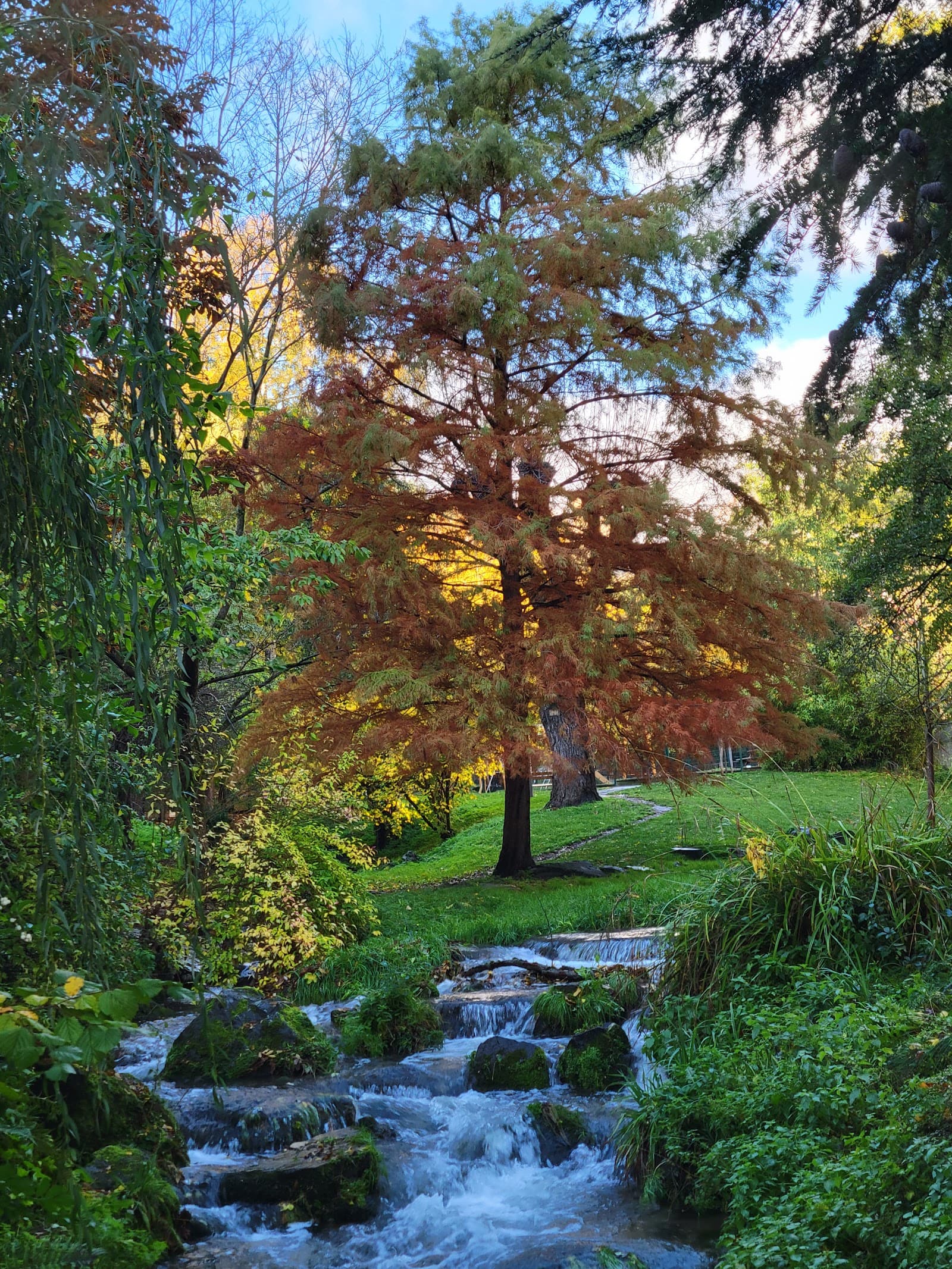 Parc de Royat (4/6)