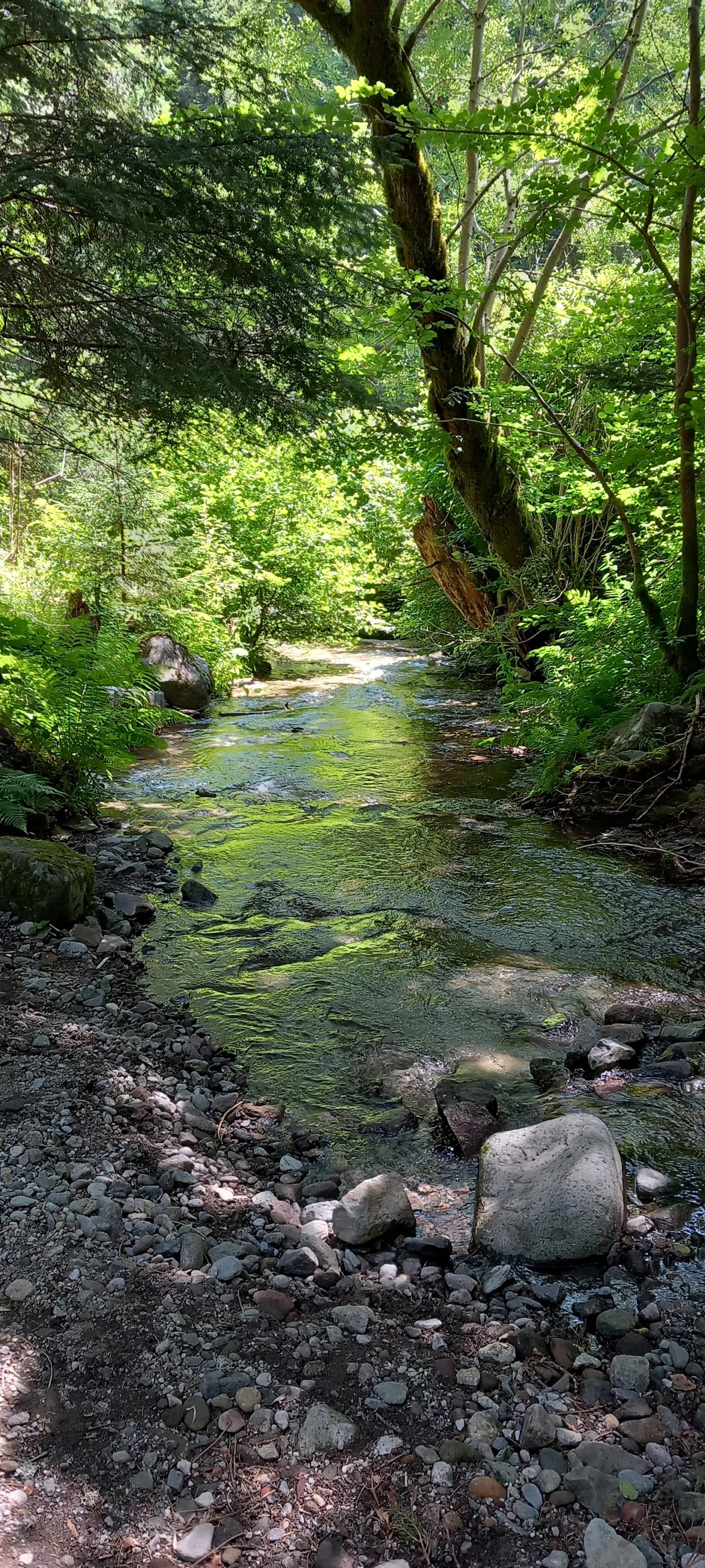 Gorges de l'Alagnon