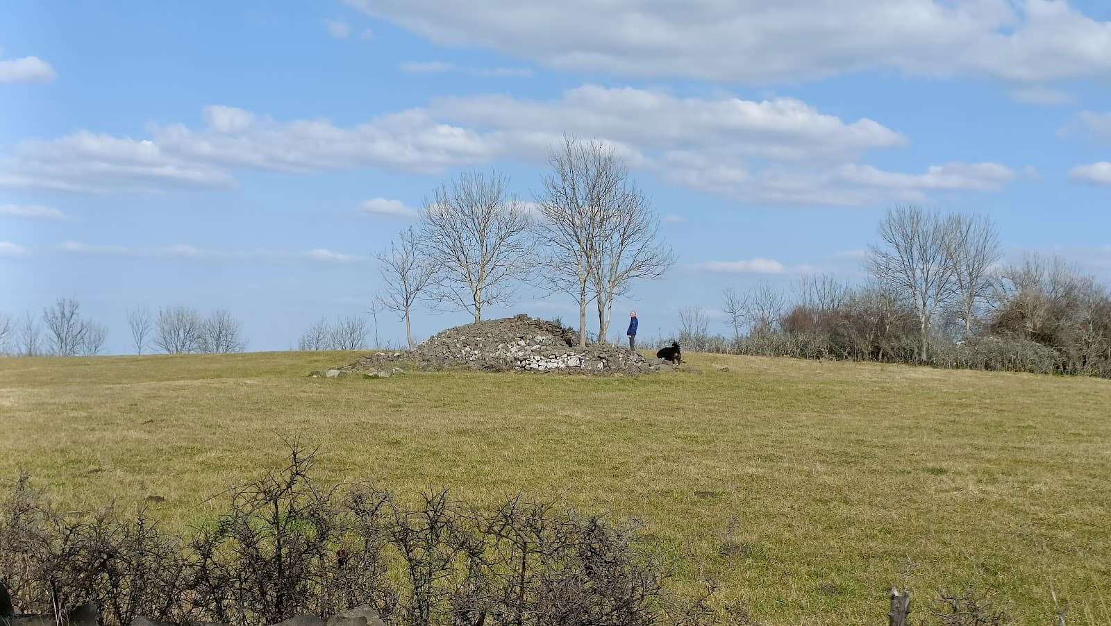 Plateau de Gergovie (2/6)