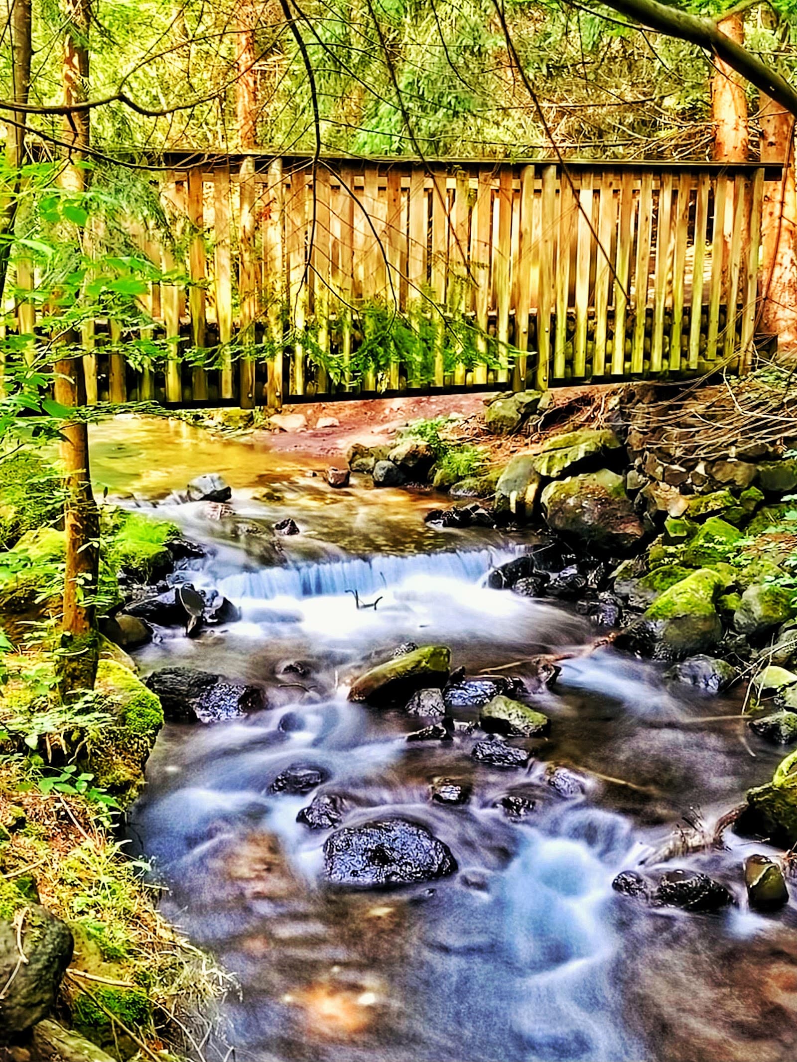 Cascade de la Beaume (4/6)